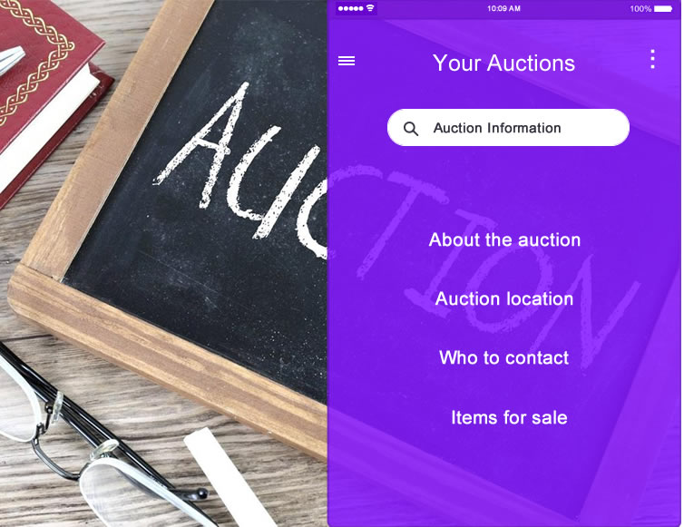 Auction-details-image